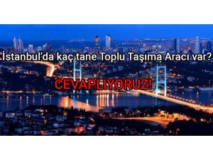 İstanbul Toplu Taşıma Araçları verileri