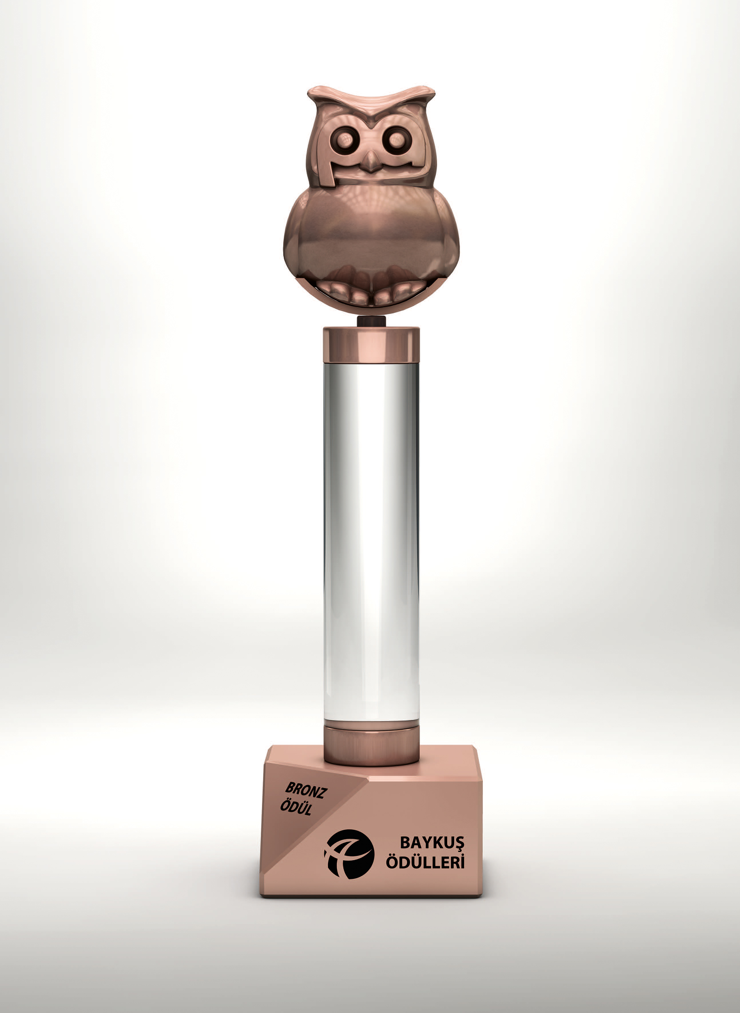 1634710614-bayku-d-lleri-bronz-odul.jpg